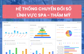 Hệ thống lĩnh vực spa-thẩm mỹ trên Lark (Larksuite)